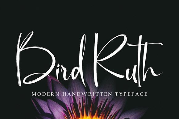 Bird Ruth Script Font Review for Makers and Sellers