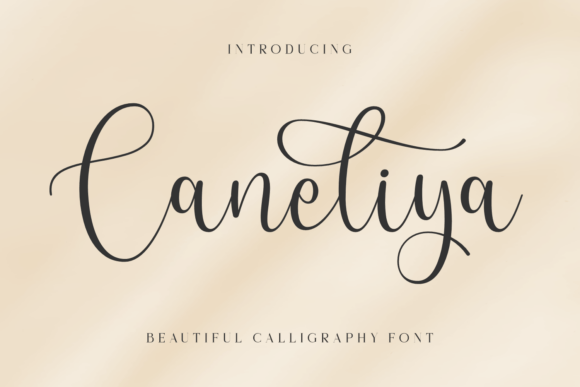 Caneliya Font: Elevating Web Design with Elegant Script