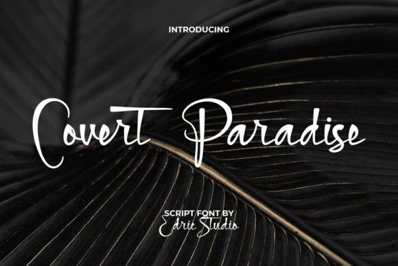 Covert Paradise Font Review for Makers and Sellers