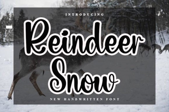 Elevate Your Brand with Reindeer Snow Script Font