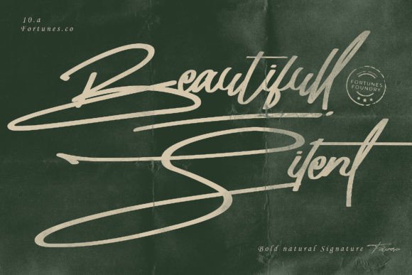 Elevate Your Shop with Beautifull Silent Typeface