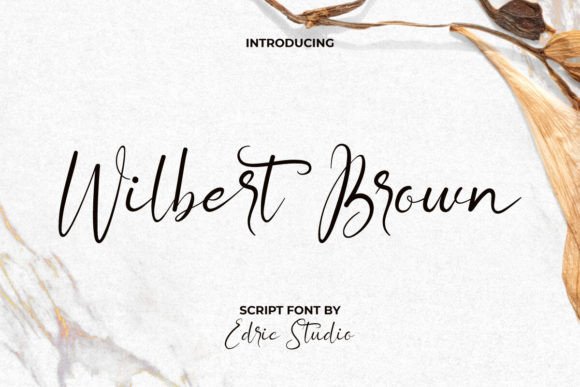 Wilbert Brown Font Review: A Thin Script for Boutique Brands